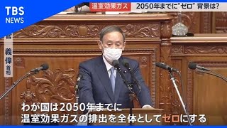 温室効果ガス「2050年までに実質ゼロ」【news23】
