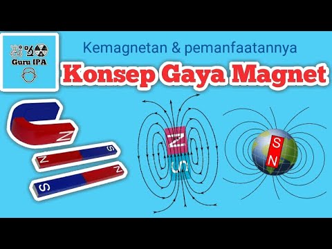 Video: Apa jenis gaya medan magnet?