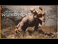 Black Myth: Wukong