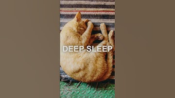 3 hz Delta Brainwaves: Deep Sleep, Pain Relief, Anti Aging, Healing  / #shorts