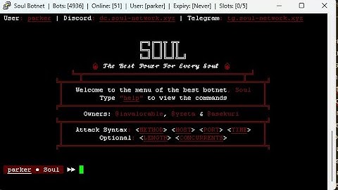SOUL C2 VS CARRY KINGDOM | DDOS BEST C2/BOTNET/API 2025
