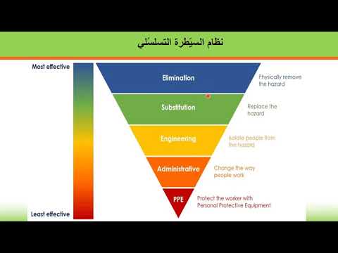 فيديو: لماذا التسلسل الهرمي للسيطرة مهم؟