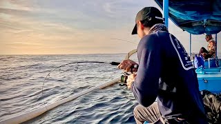 Download Lagu IKAN SAK BANTAL DAPAT DI LAUT LANGSUNG DI BAKAR UNTUK MAKAN SIANG! MP3 Download Lagu IKAN SAK BANTAL DAPAT DI LAUT LANGSUNG DI BAKAR UNTUK MAKAN SIANG! MP3