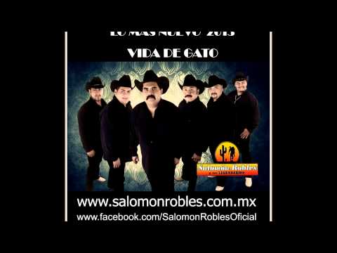 Vida De Gato - Salomon Robles