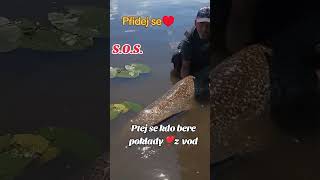 #rybaření #fishing #sumec #fish