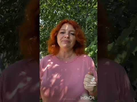 Зеленый лук: Открываем