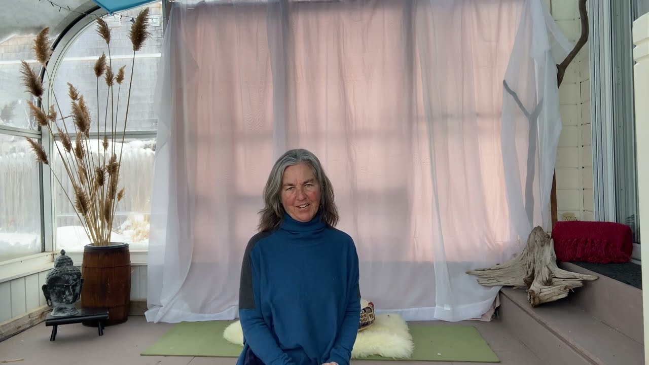 20 minute Digestion Reset:  yoga flow for Bloating, Gut Health and Metabolism. 