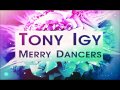 Tony Igy - Merry Dancers (Original Mix)