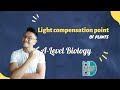 A-Level Biology - Light compensation point of plants