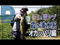 【青木大介】D Channel #004 濁り＆激シブ　霞ヶ浦水系 オカッパリ編