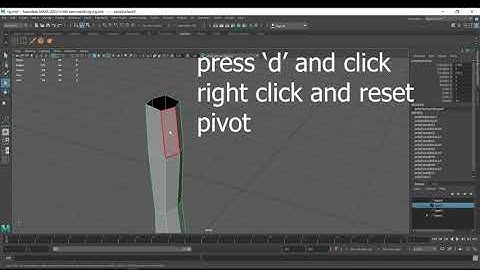 How to reset pivot in Maya software ?