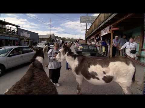 Video: Oatman az-da atışmalar saat neçədə olur?