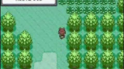 Pokémon Ruby Speed Run Segment 2