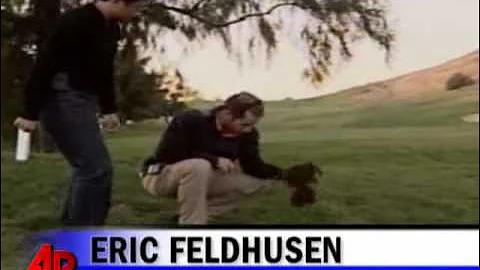 A California Club's Pig Problem