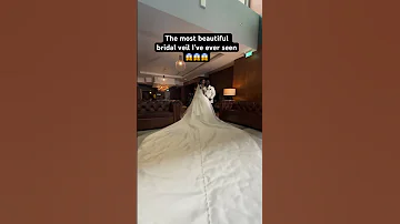 This Veil Is Long And Beautiful And That View Is Everything Weddings Wedding Veil 