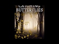 Catching Butterflies