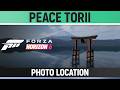 Forza Horizon 6 - Peace Torii - Photo Location