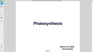Bio Energy Processing Photosynthesis Part 1