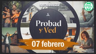 Probad Y Ved - 07 Febrero 2026 Respeto De La Clase