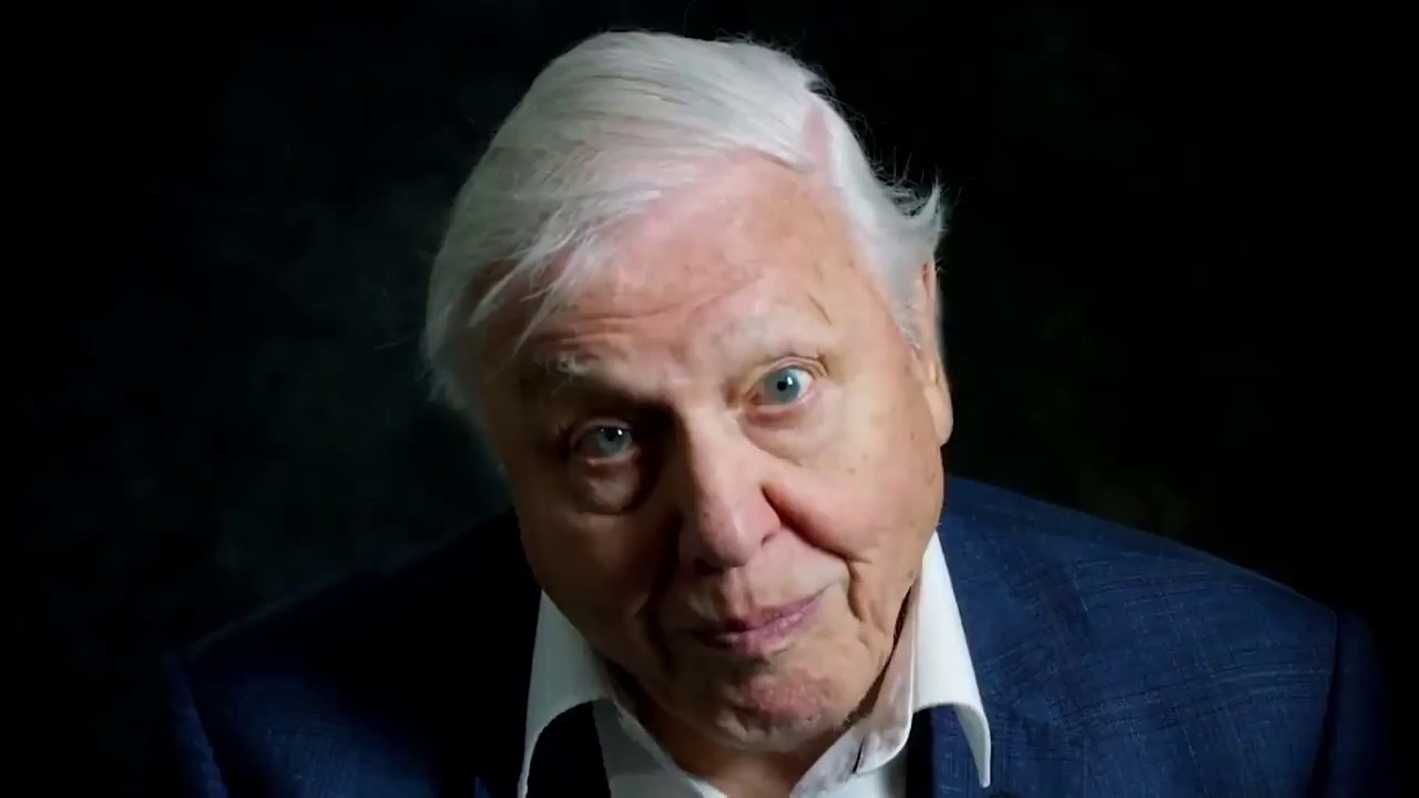 moviemashup.Meat Loaf For Crying Out Loud YouTube