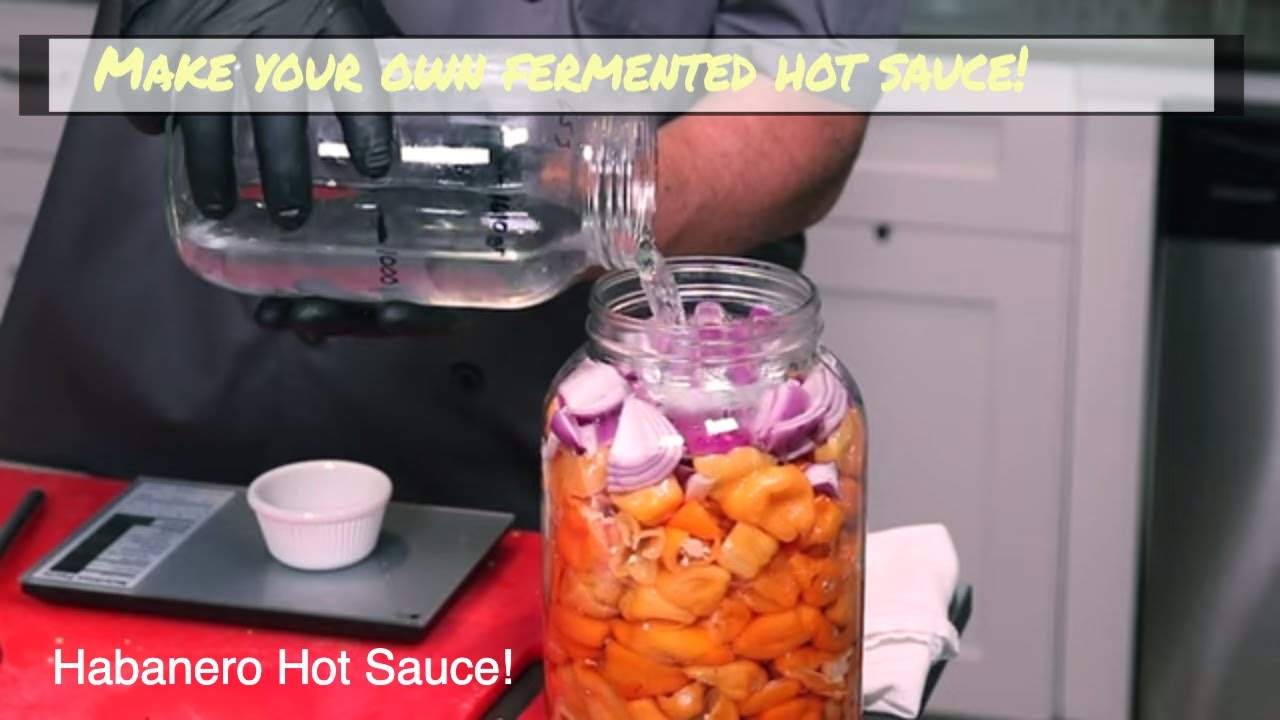 How to Make Pineapple Habanero Hot Sauce, Making the fermentation YouTube