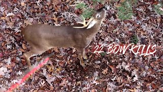 22 ARCHERY KILL SHOTS in 3 MINUTES!! (Bowhunting Compilation)