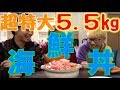 総重量５.５キロの海鮮丼がヤバすぎた！！