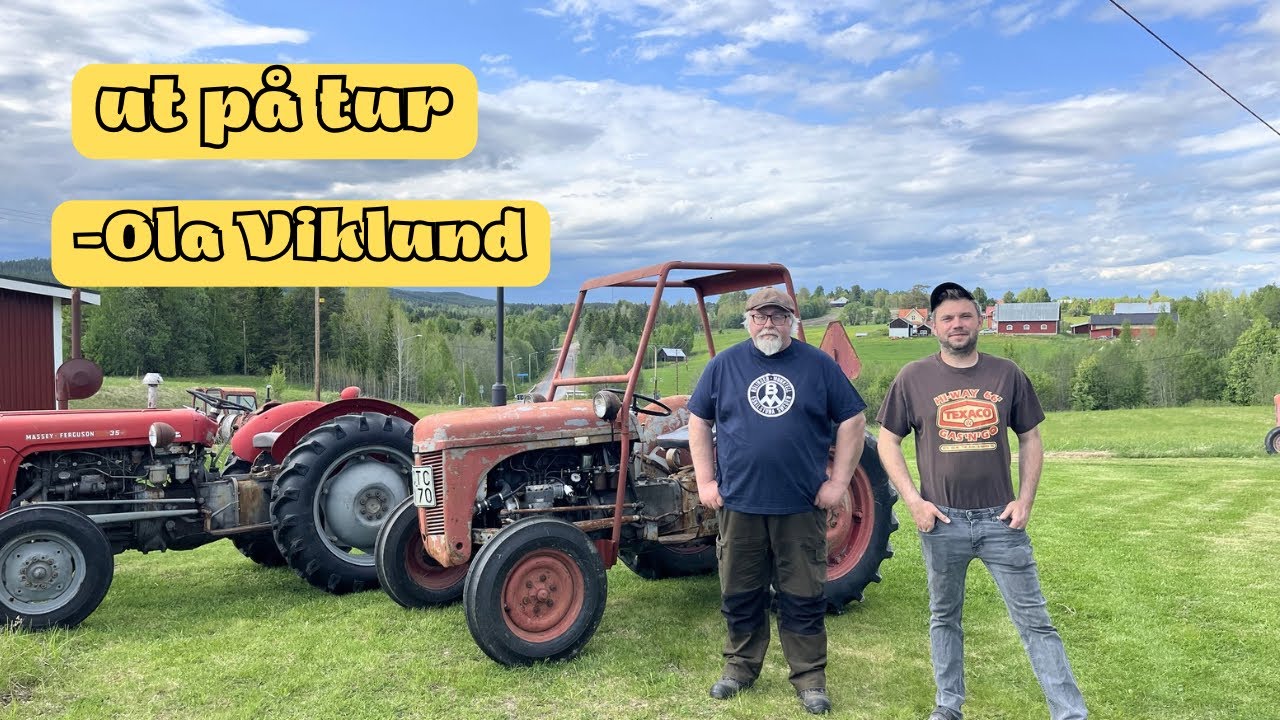 Flera nyanser av Grålle…