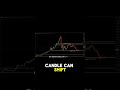 The Trader's Trap Why Your Bias Is Costing You Money