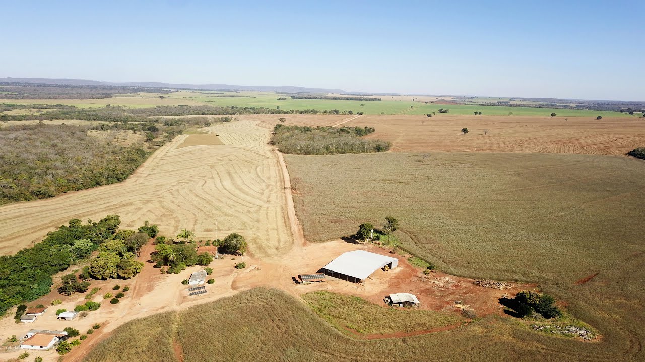 Fazenda a venda de 230 hectares em Rochedo/MS. Fazenda em agricultura de terra argilosa.