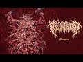 Peelingflesh   gimptro official stream