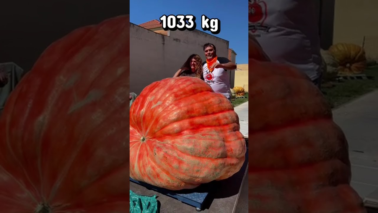 Team Mendi gana en Valtierra este 2026
