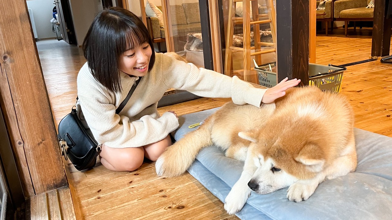 もふもふ秋田犬に癒された秋田・青森旅行🐕 │ 新幹線代0円旅