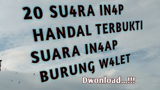 20 SUAR4 IN4P TERBUKTI DI BERBAGAI RBW INAP TERBAIK 2021