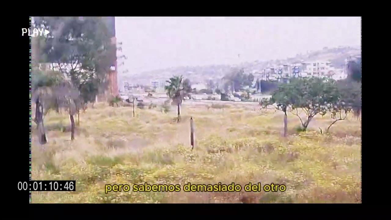 5. dansei - melatonina (visualiser)