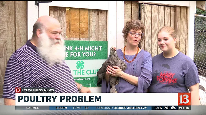 Poultry problems