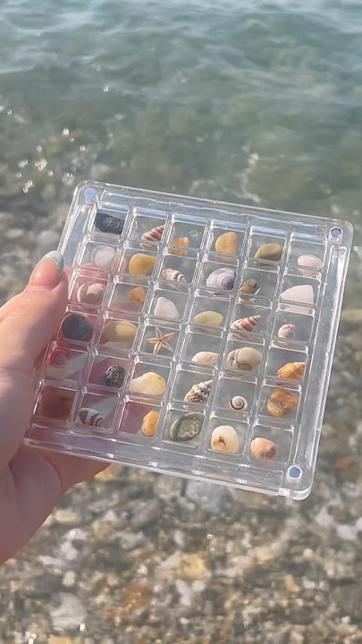 Collecting little sea shells and rocks🐚🤍