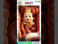 “Barley for Blood Sugar | Gut Health Superfood #barley #stomach #healhtyfood #healthtips #telugutips