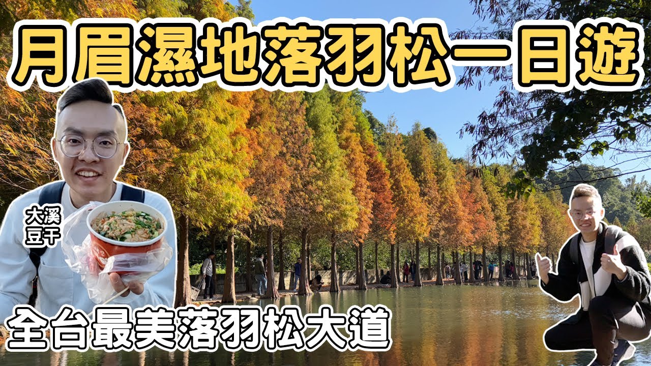 【ManLife】桃園大溪月眉人工濕地落羽松大道一日遊｜冬季限定300棵落羽松大道 排了一個小時的大溪老街豆干Taoyuan one day tour 《阿滿生活｜桃園》