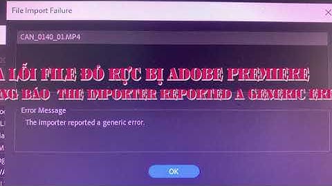 The importer reported a generic error là gì cách sửa năm 2024