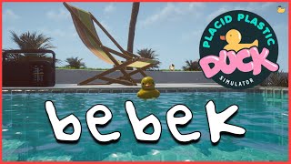 【Placid Plastic Duck Simulator】watching ducks from the car cos why not【Kaela Kovalskia / hololiveID】