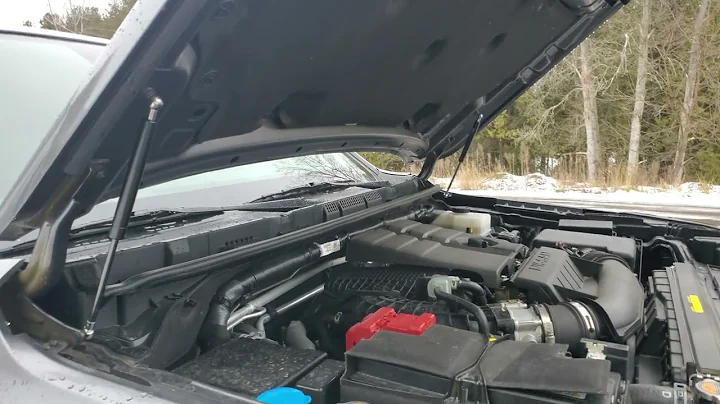 Quality Of Life Upgrade: Z1 High Lift Hood Struts!