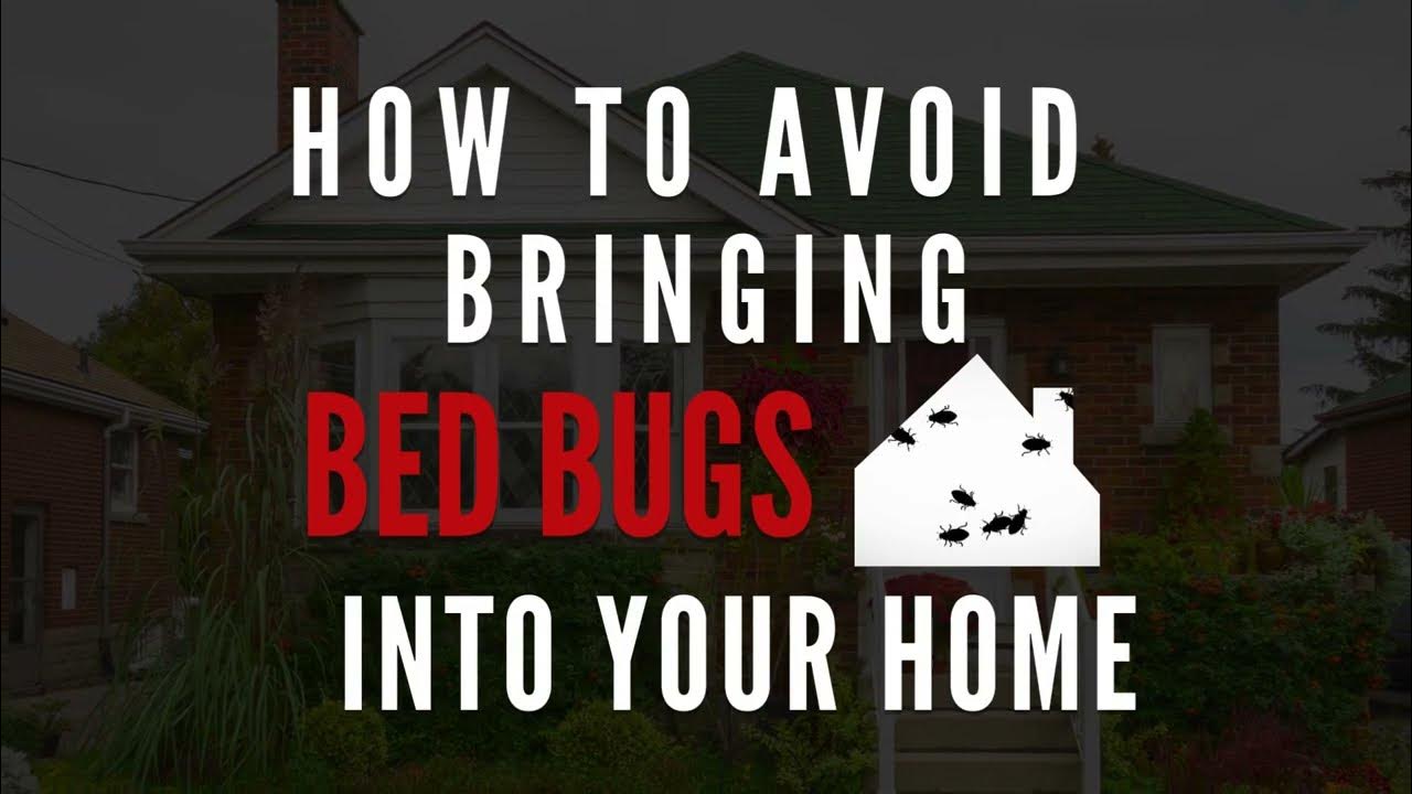 How To Avoid Bringing Bed Bugs Home From Vacation