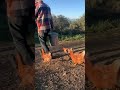 Chickens go crazy for compost