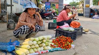 Pick tomatoes to sell at the market. The life of a woman who is spurned by her daughter-in-law