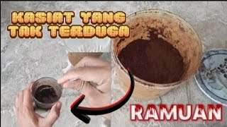 Cara Membuat Jamu Ayam Ramuan  Bikin Ayam Galak Dan Bertenaga