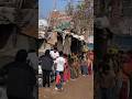 Harit Yuva Organisation Work 🌍 | Clean Drive, Tree Plantation &amp; Food Drive India | NGO Work #shorts