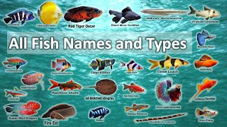 All Fish Names and Types in 2 minutes