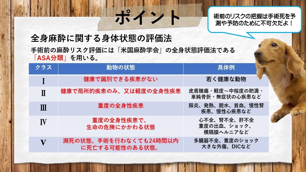 一問一答 動物外科看護学 - YouTube