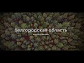 Белгородская область | Белгород, Валуйки | Mavic air